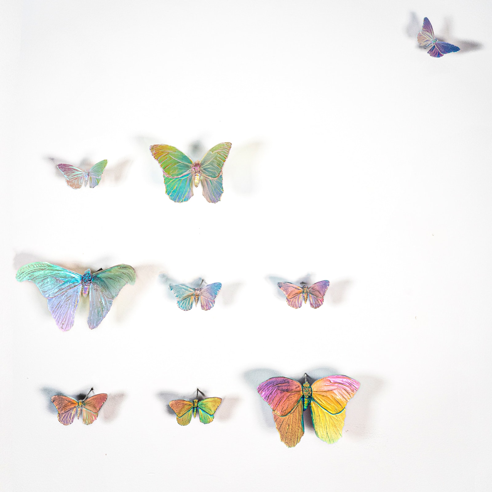 Alli Hoag, Lepidopterist's Daydream (Owl Butterfly, Altas Moth, Monarch)