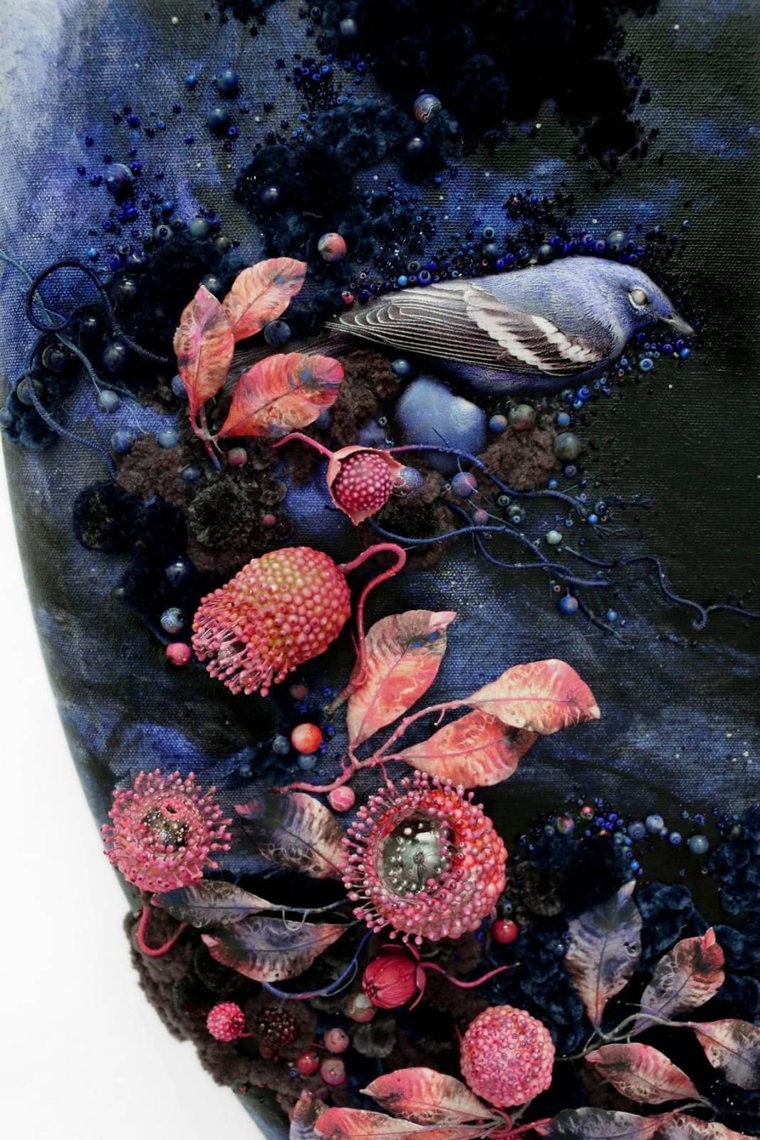 Amy Gross, Flore Noctu