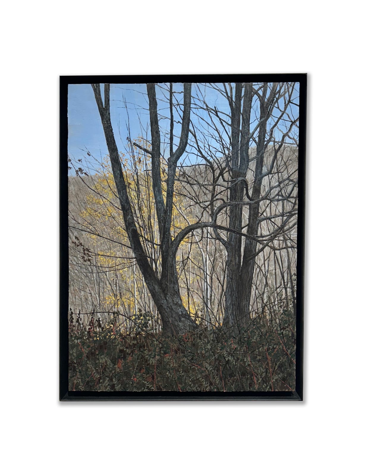 John L. Cleaveland, Jr., Back Light, Waynesville Overlook
