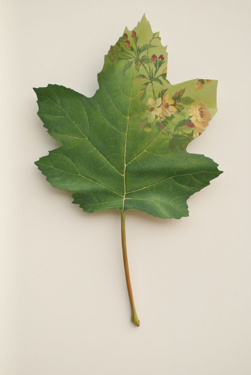 Ron Isaacs, Domestication Series: Oakleaf Hydrangea