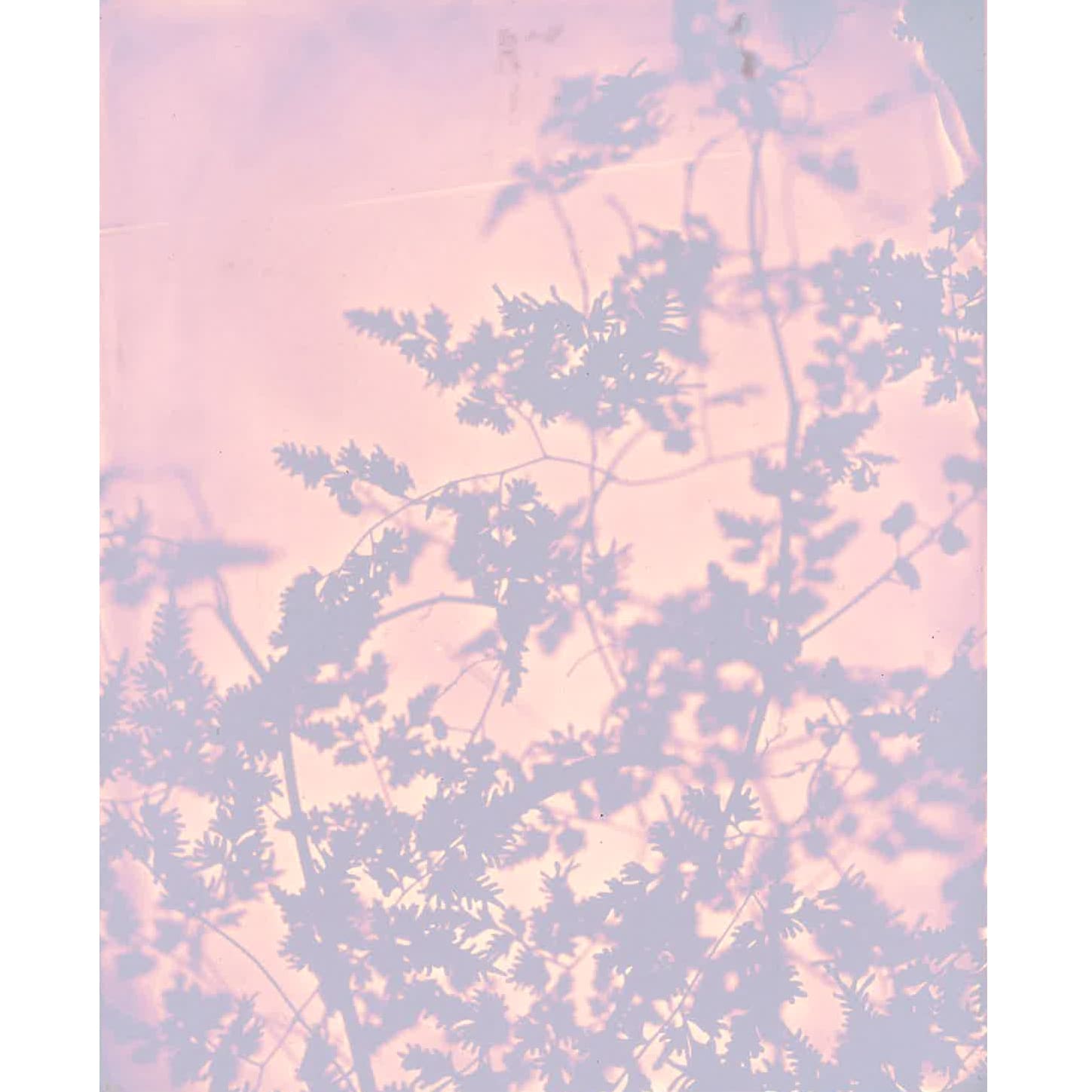 Heather F. Wetzel, Untitled No. 7, Dusk - Left