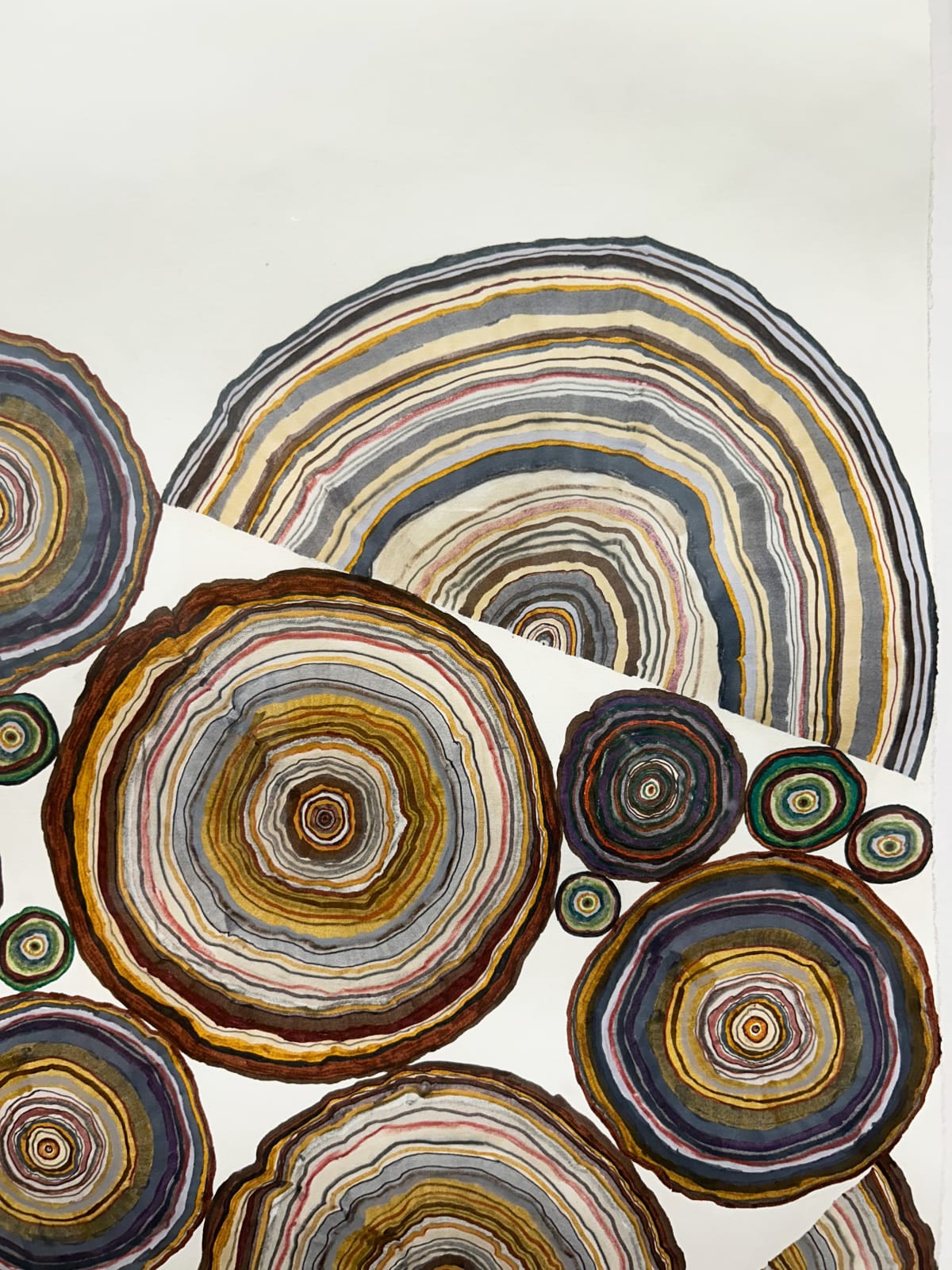 Steven L. Anderson, Forest #1