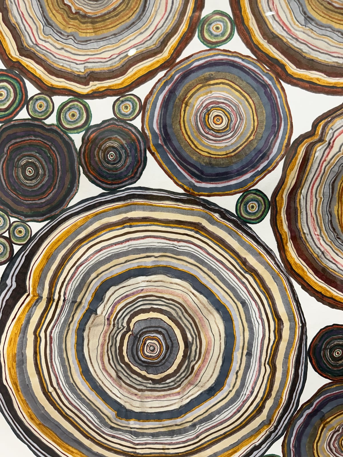 Steven L. Anderson, Forest #1