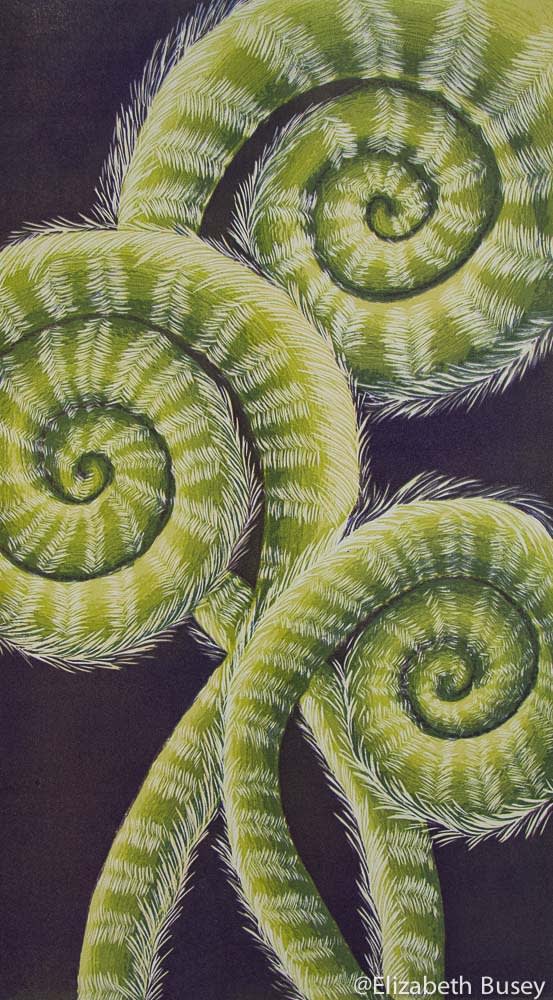 Elizabeth Busey, Scrolls of Spring