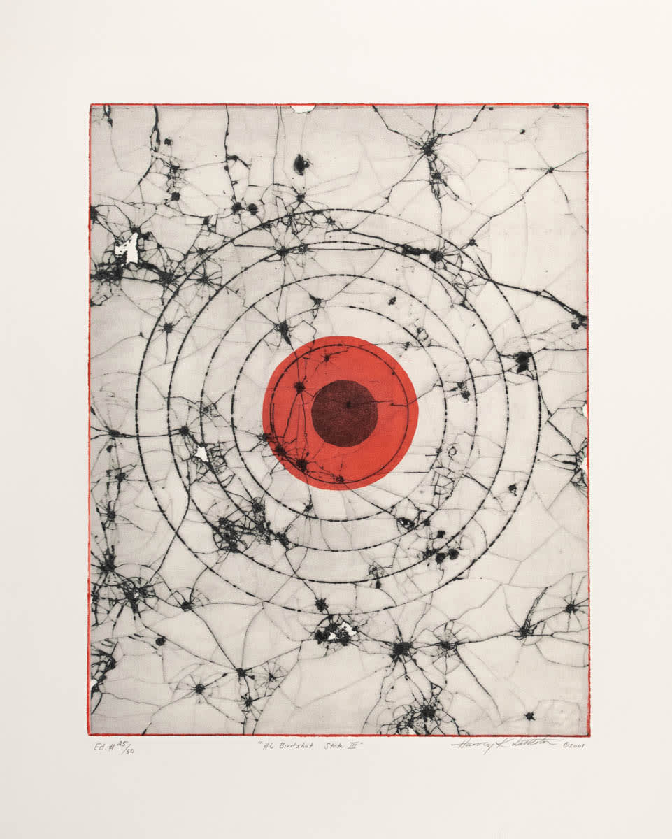Harvey K. Littleton (1922–2013), #6 Birdshot - State III (unframed)