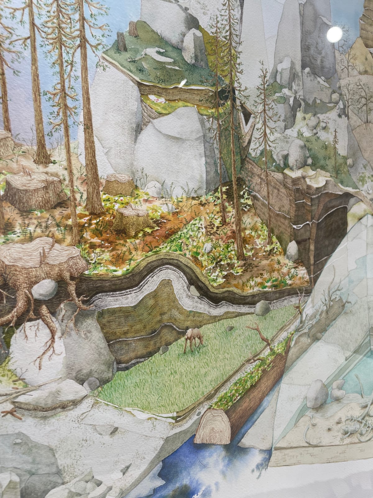 Bryce Lafferty, West (The Tree of Life)