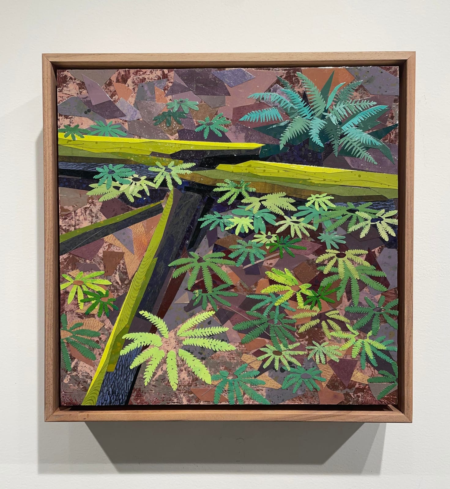 Meg Lagodzki, Maidenhair and Christmas Ferns