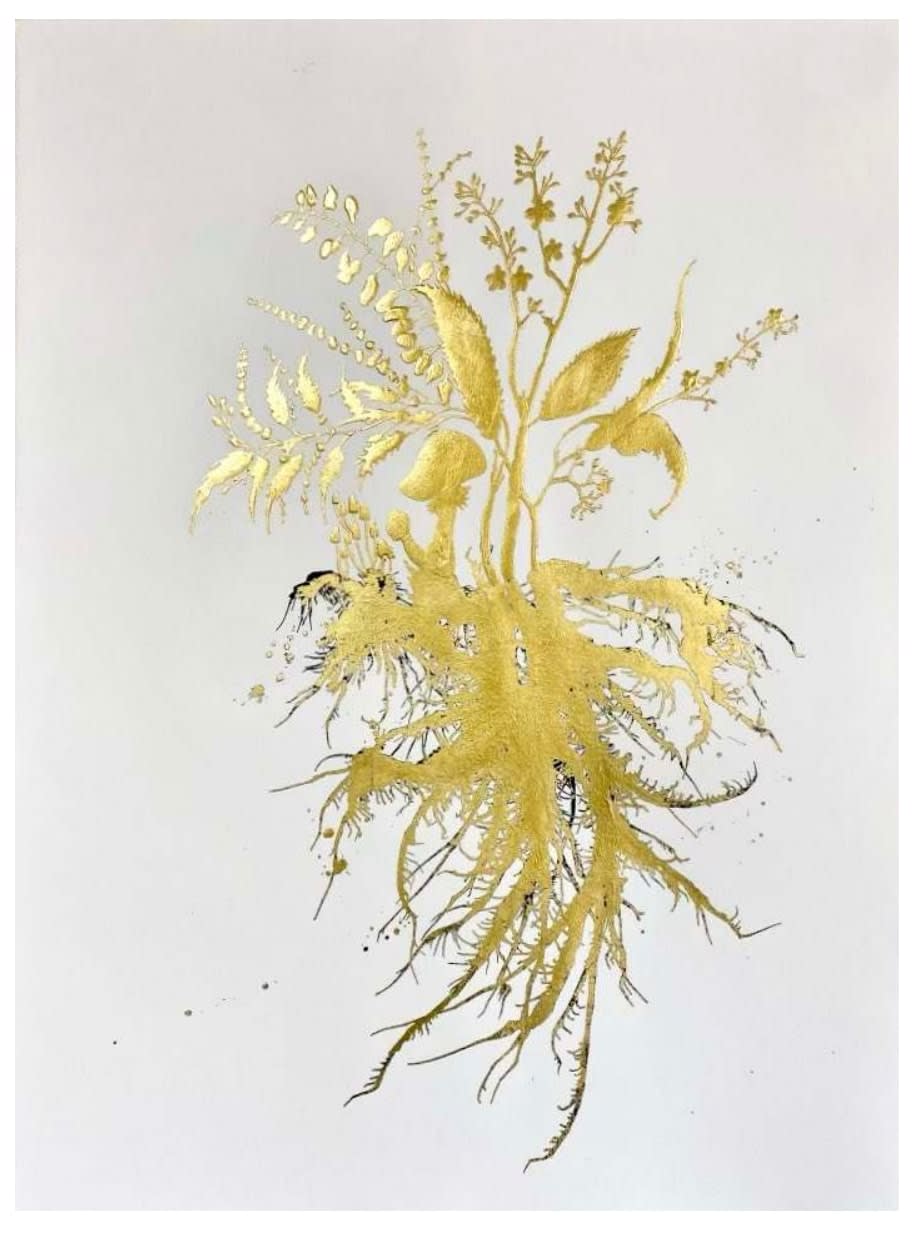 Jill Hotchkiss, Quince