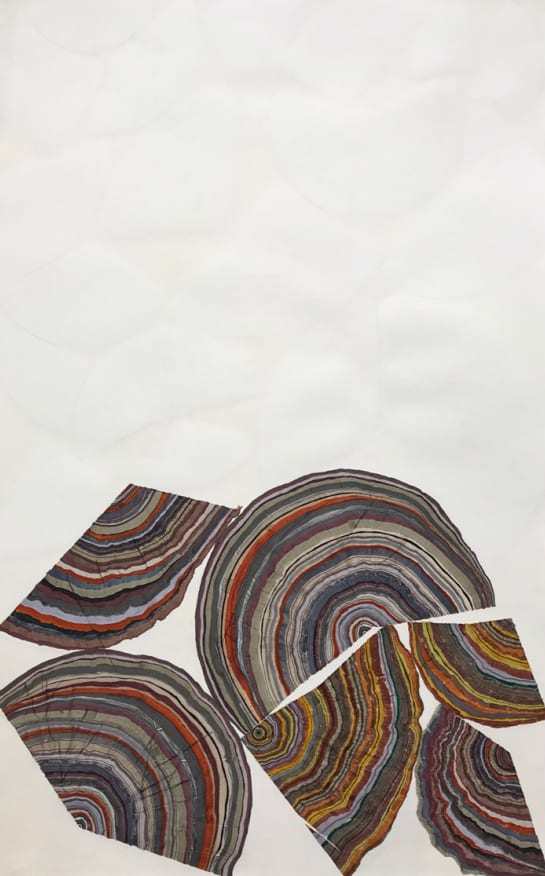 Steven L. Anderson, Forest #3