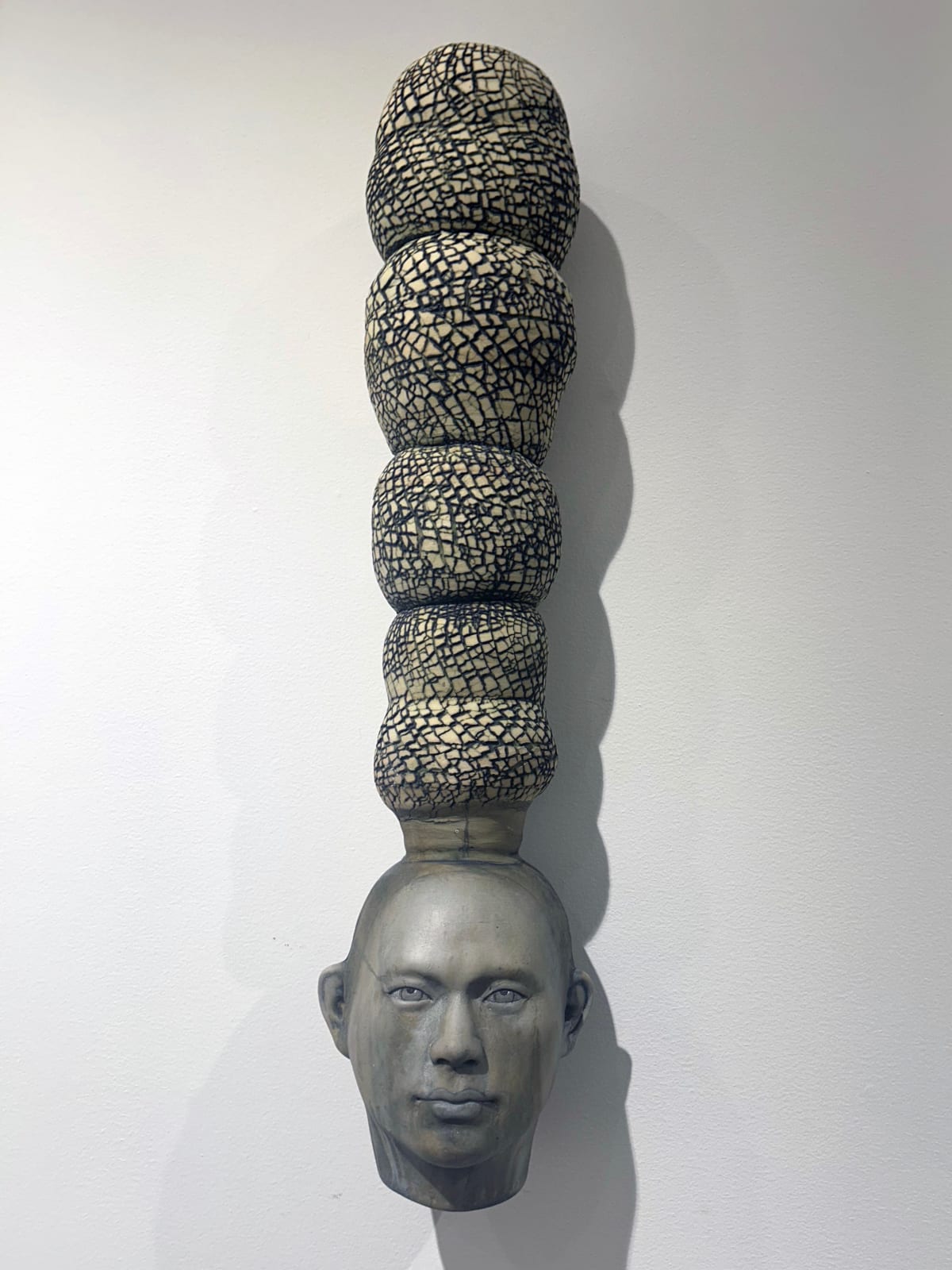 Lisa Clague, Cracked Earth