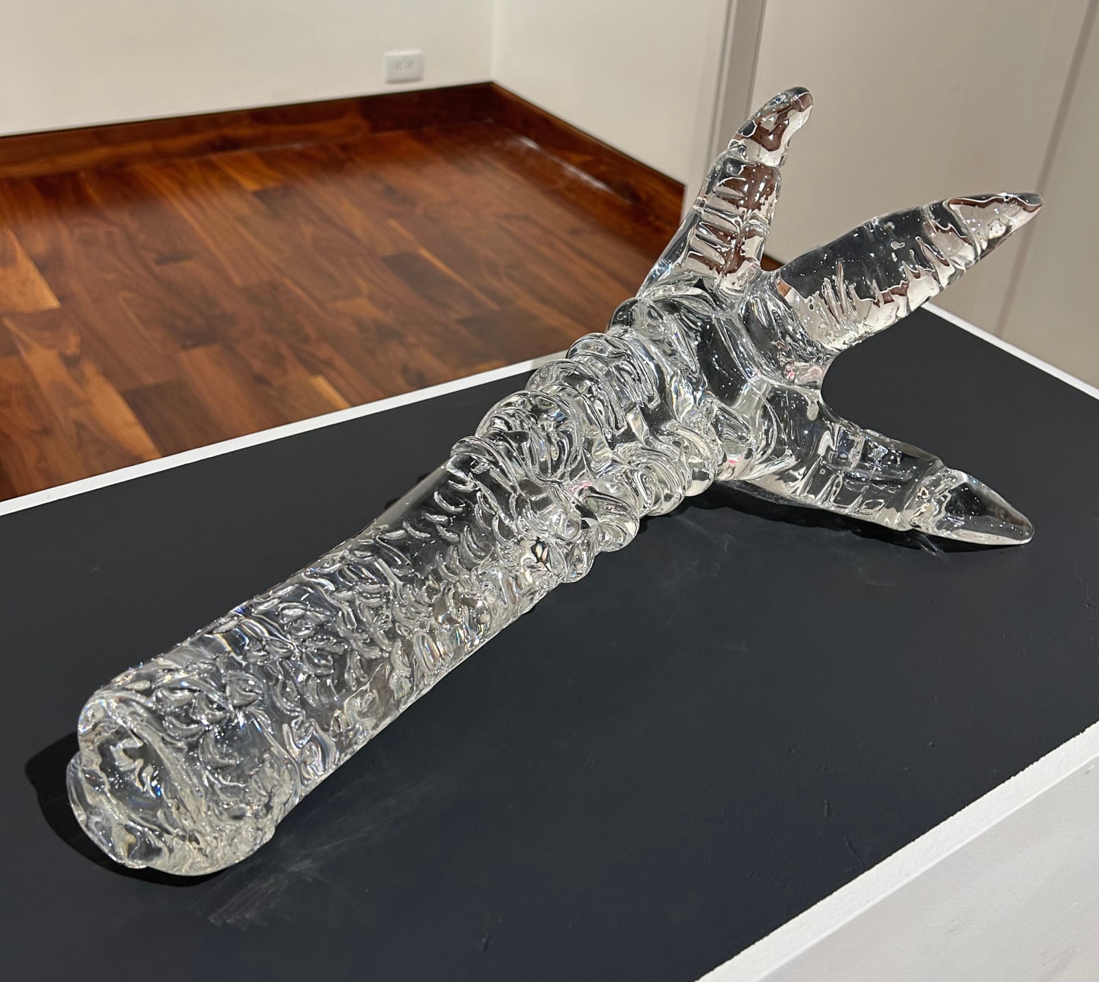 Deborah Czeresko, Three Toed Ostrich