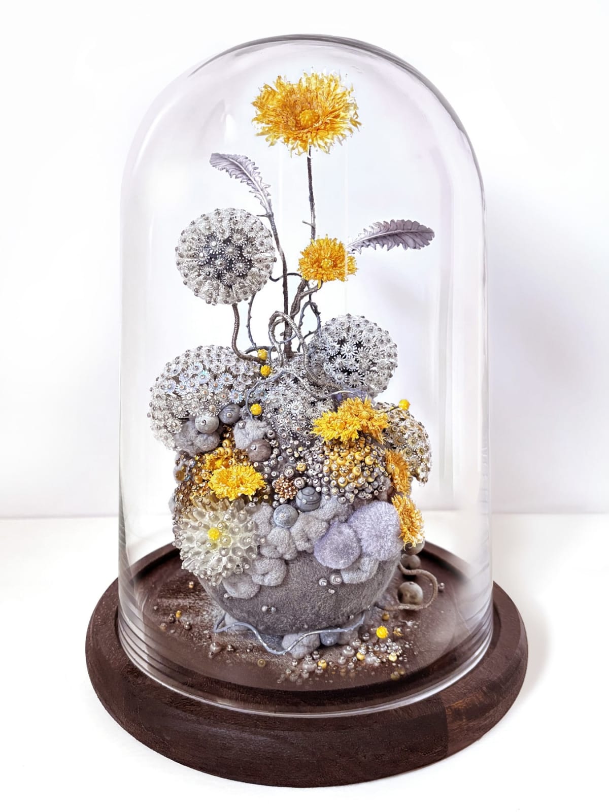 Amy Gross, Taraxa Contineo