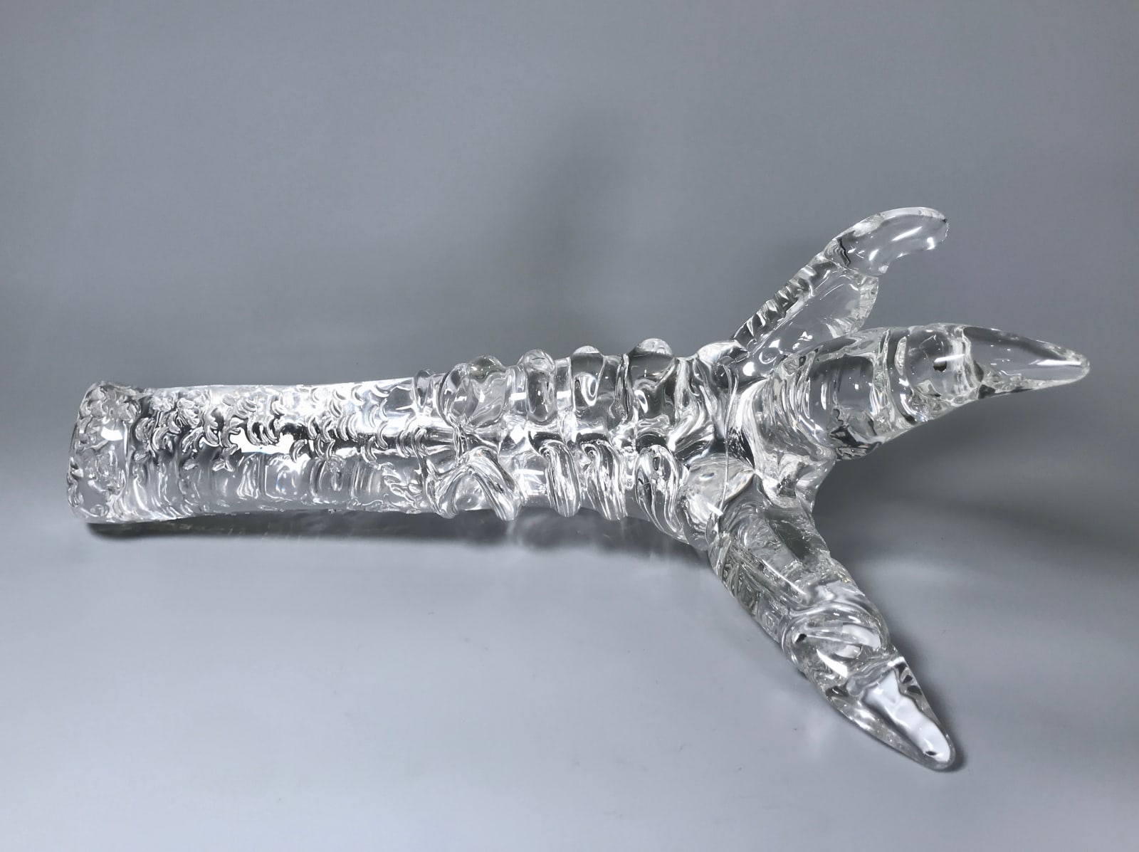 Deborah Czeresko, Three Toed Ostrich