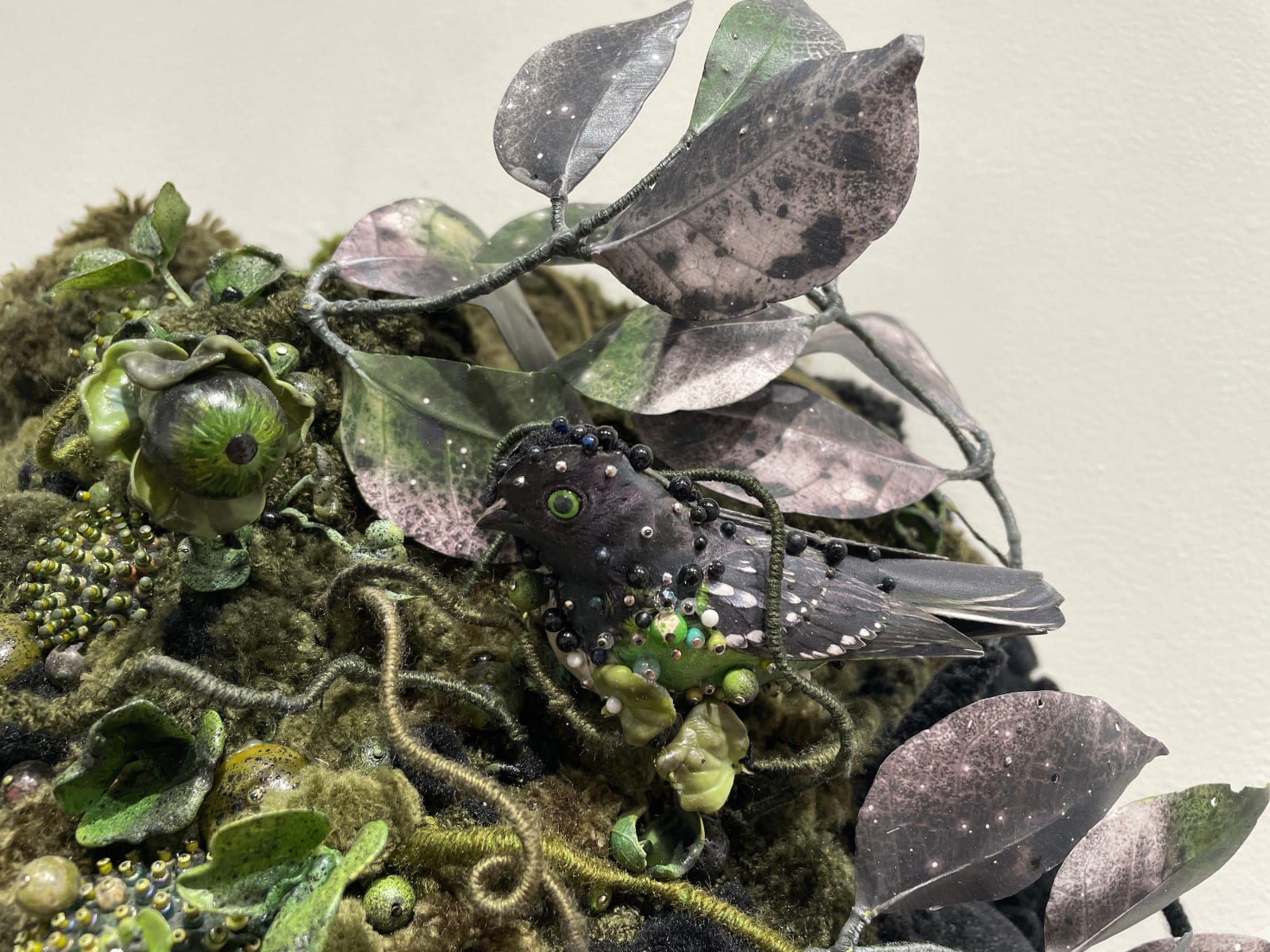 Amy Gross, Emerald Towhee's Biotope