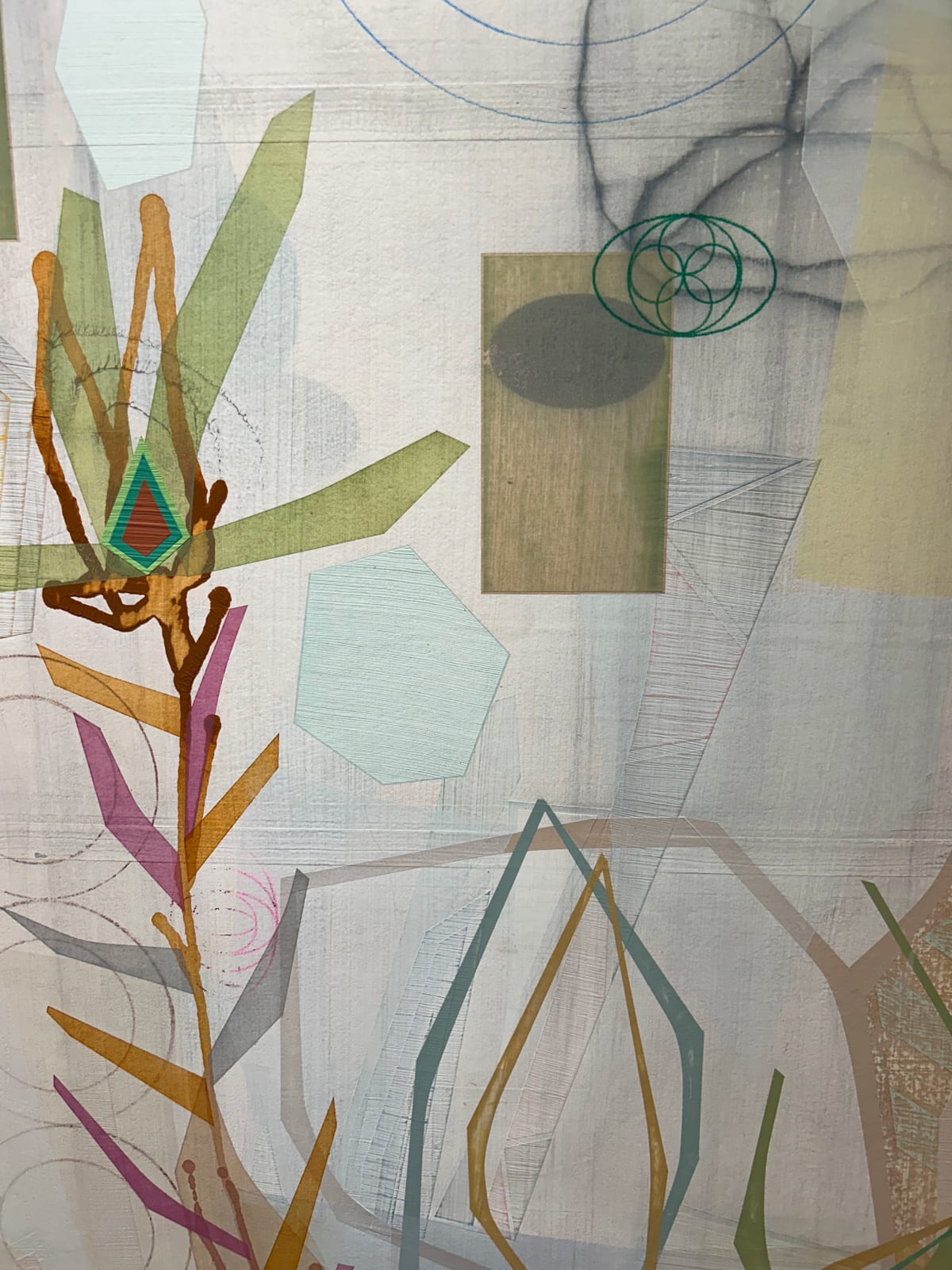 Michael Barringer, Organic Geometry (Imagined Pine)