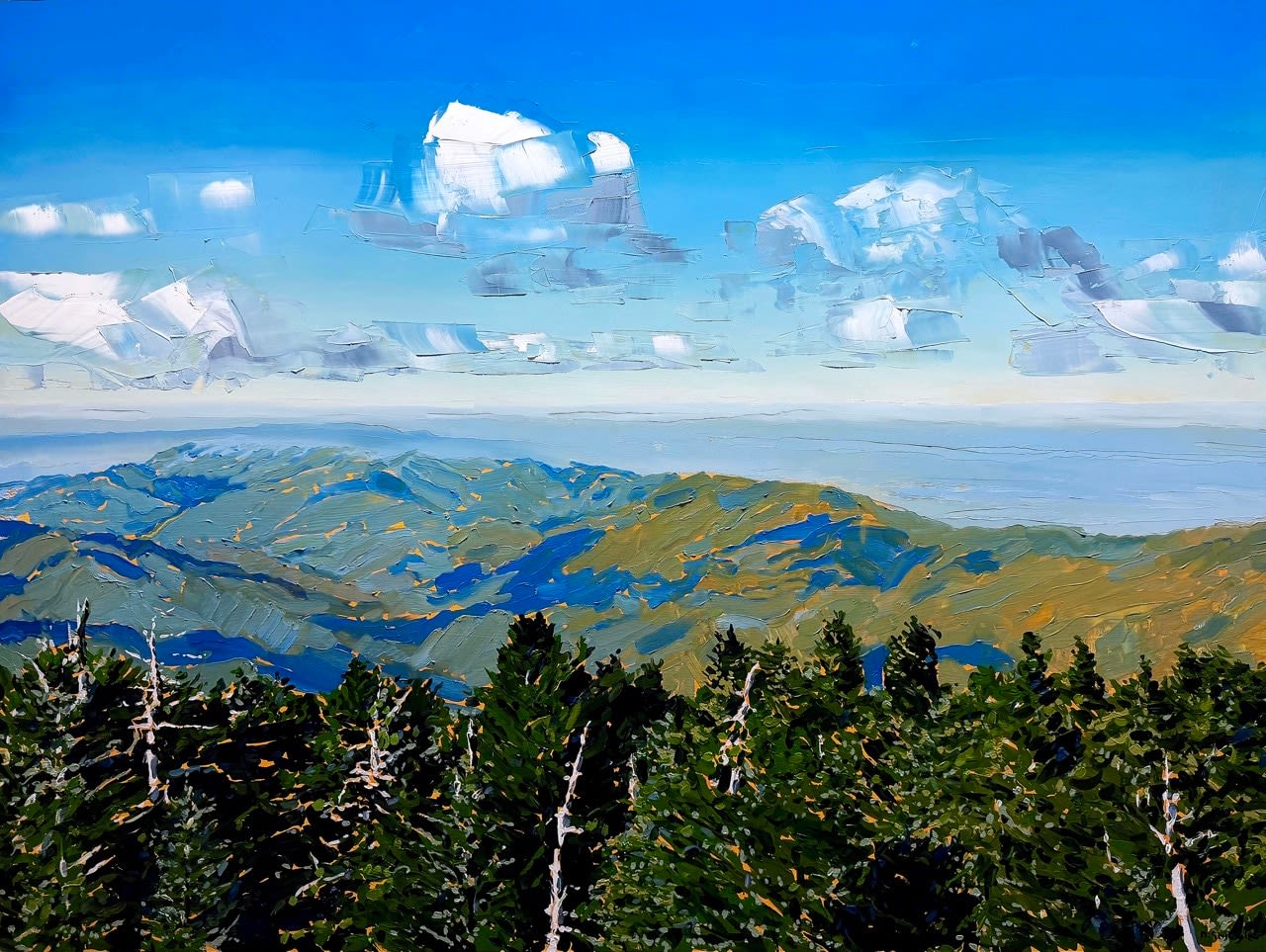 David Shingler, Clingmans Dome, NC