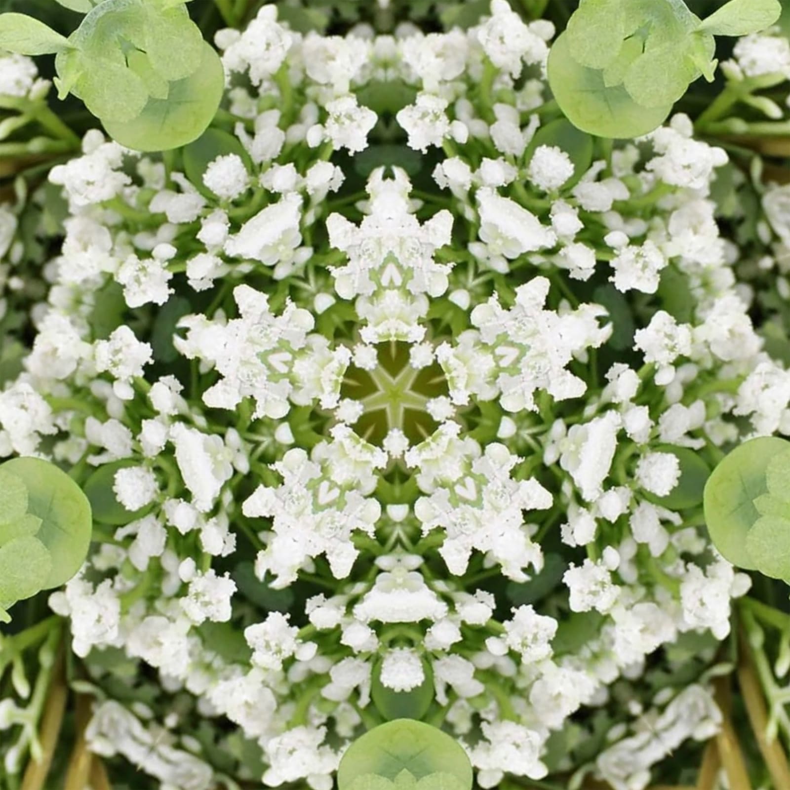 Tim Tate, Lenticular XVIII