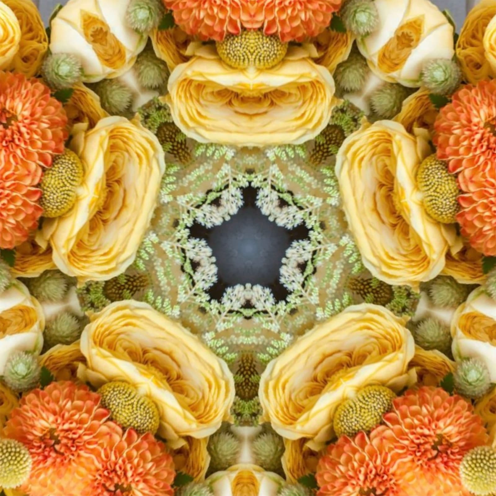 Tim Tate, Lenticular XV