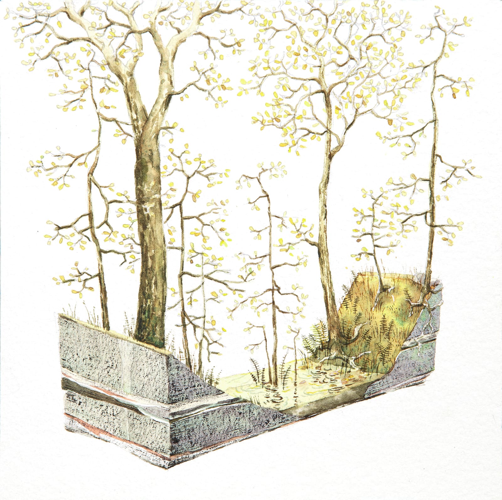 Bryce Lafferty, Ephemeral Pond