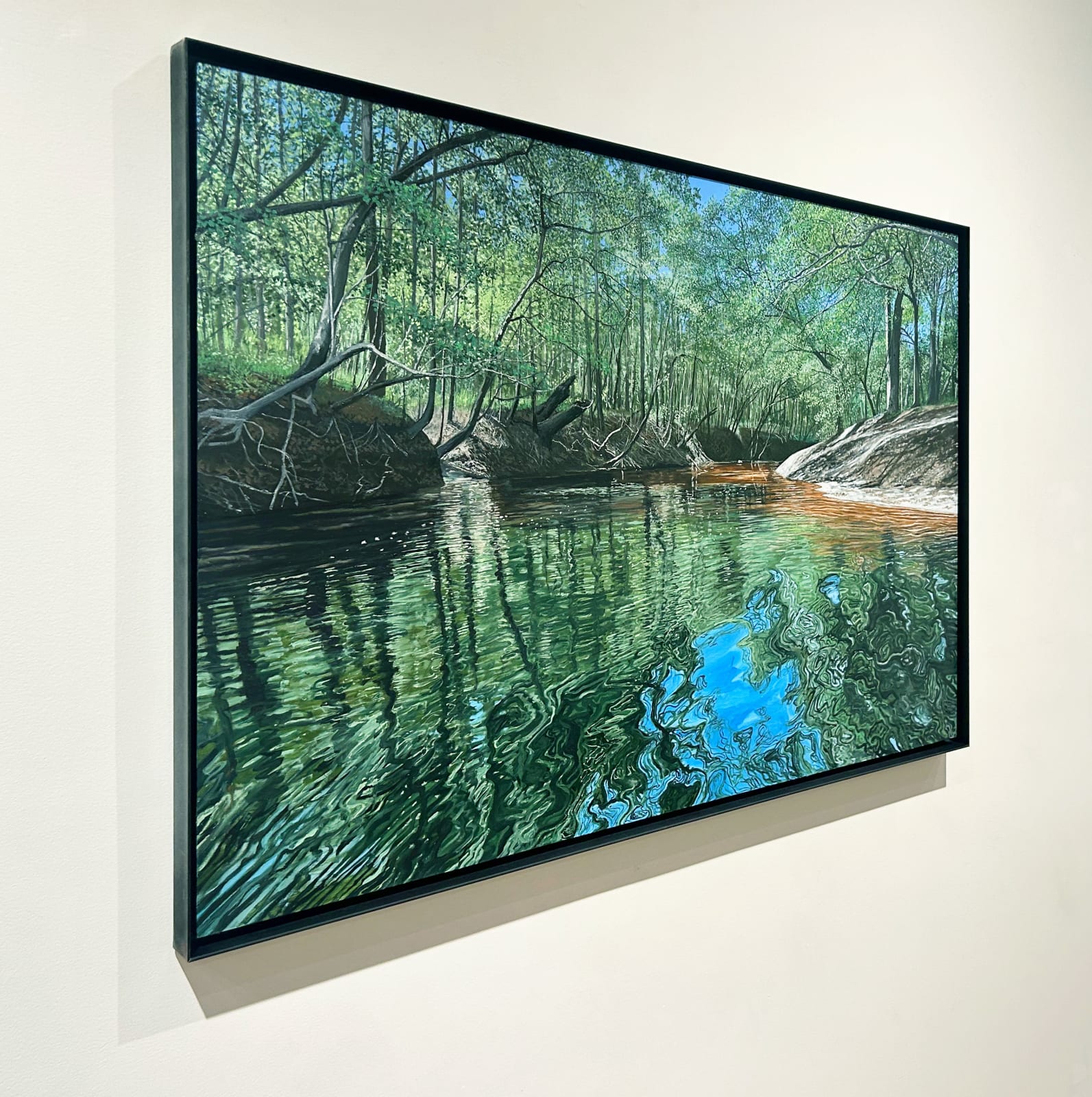 John L. Cleaveland, Jr., Against the Current, Little Satilla River