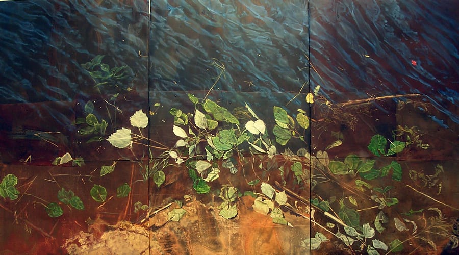 Drew Galloway, Still Life