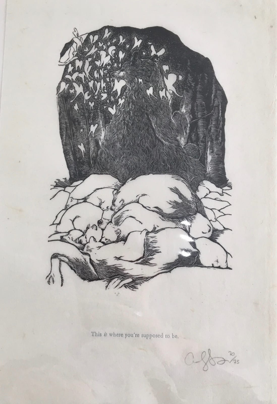 Andy Farkas, Supposed To Be