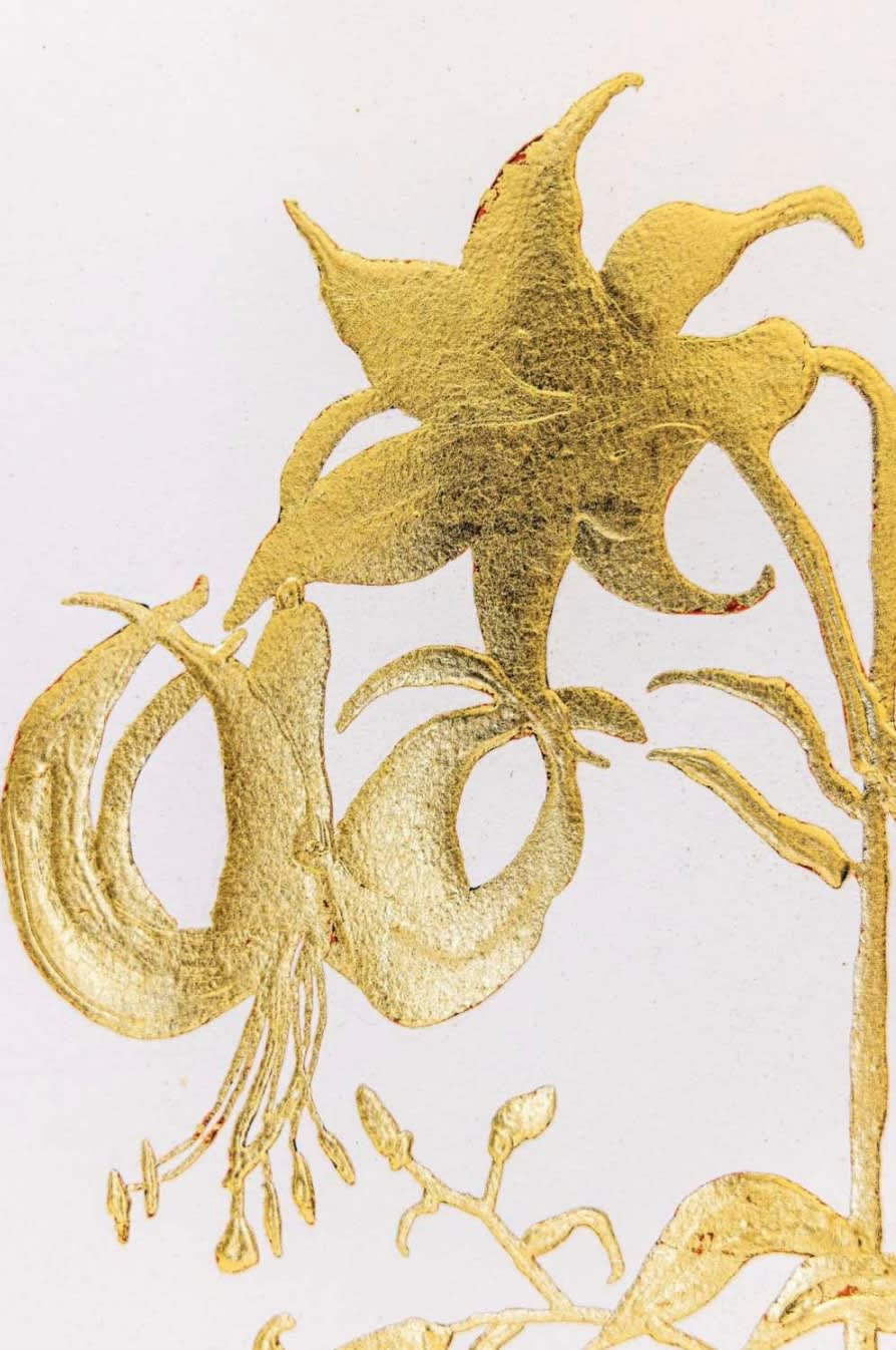 Jill Hotchkiss, Stargazer, unframed