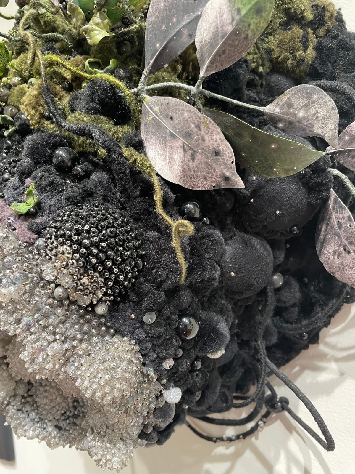 Amy Gross, Emerald Towhee's Biotope