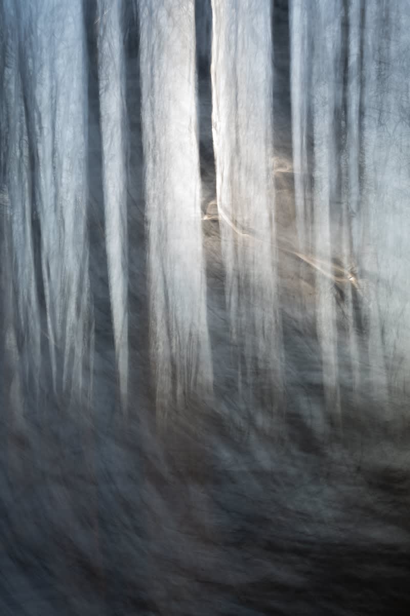 Sandy Rothberg, Small Untitled B