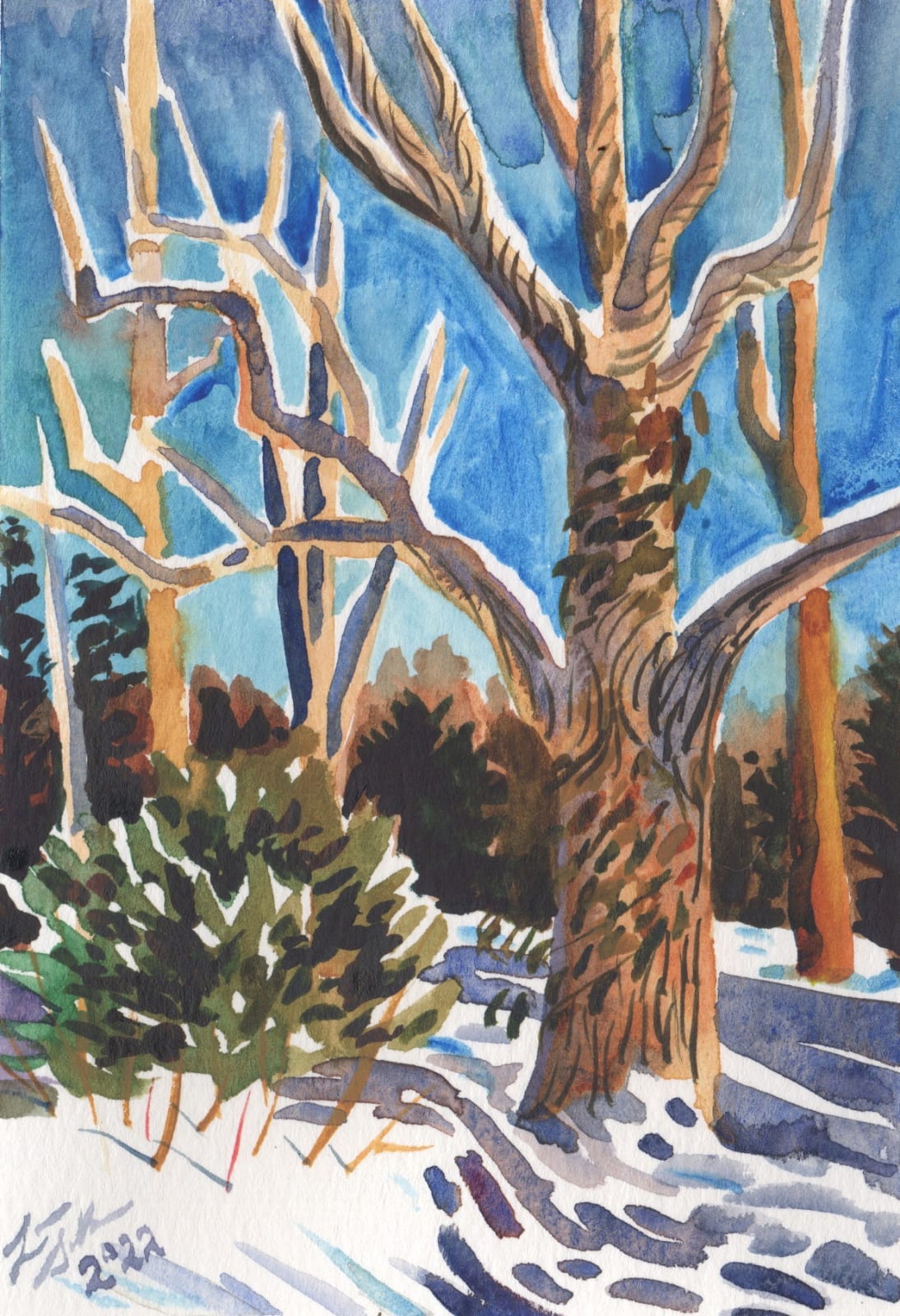 Laura Sellers, East Asheville Snow I