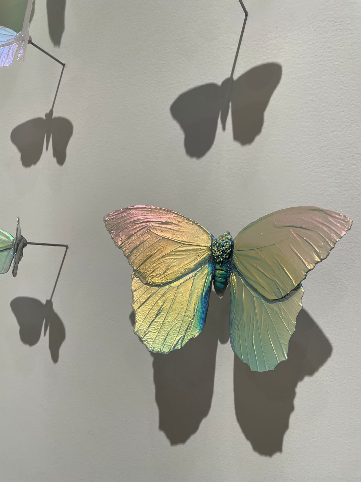 Alli Hoag, Lepidopterist's Daydream (Owl Butterfly, Altas Moth, Monarch)