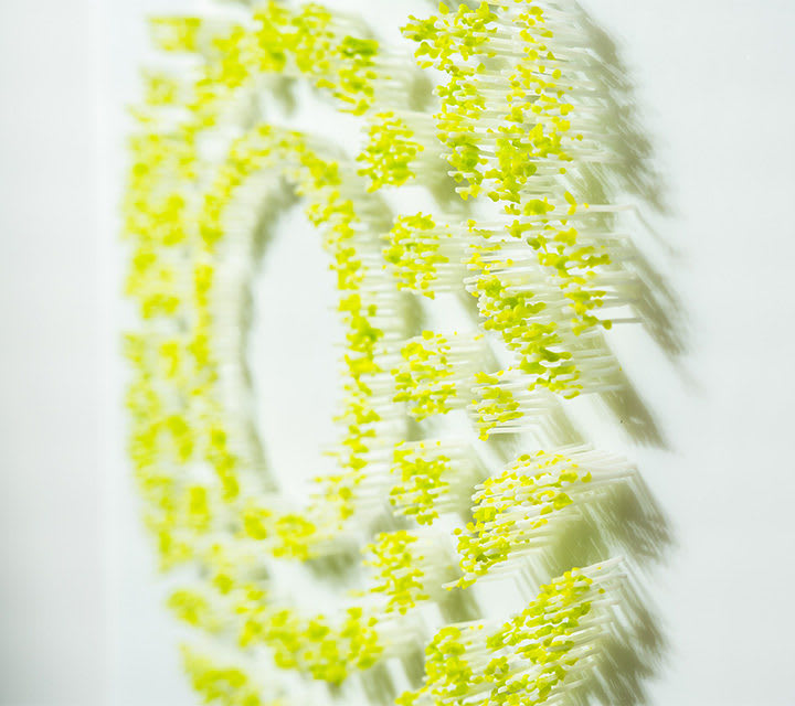 Terri Grant, Moon Garden