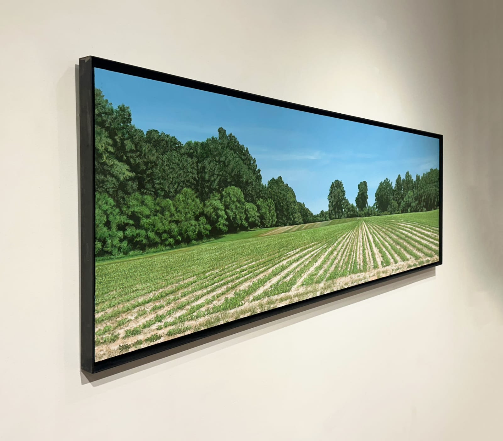 John L. Cleaveland, Jr., A Little Shade at the End of the Row