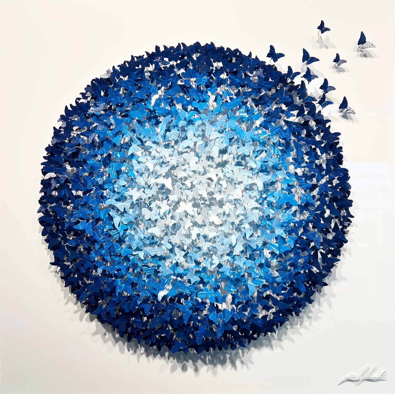 Joel Amit, Joel Amit - Circle Blue