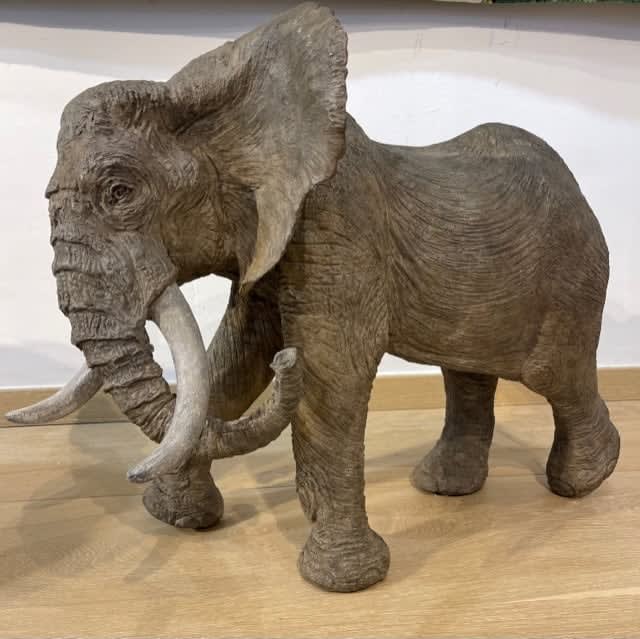 Tania Boucart, Elephant mother