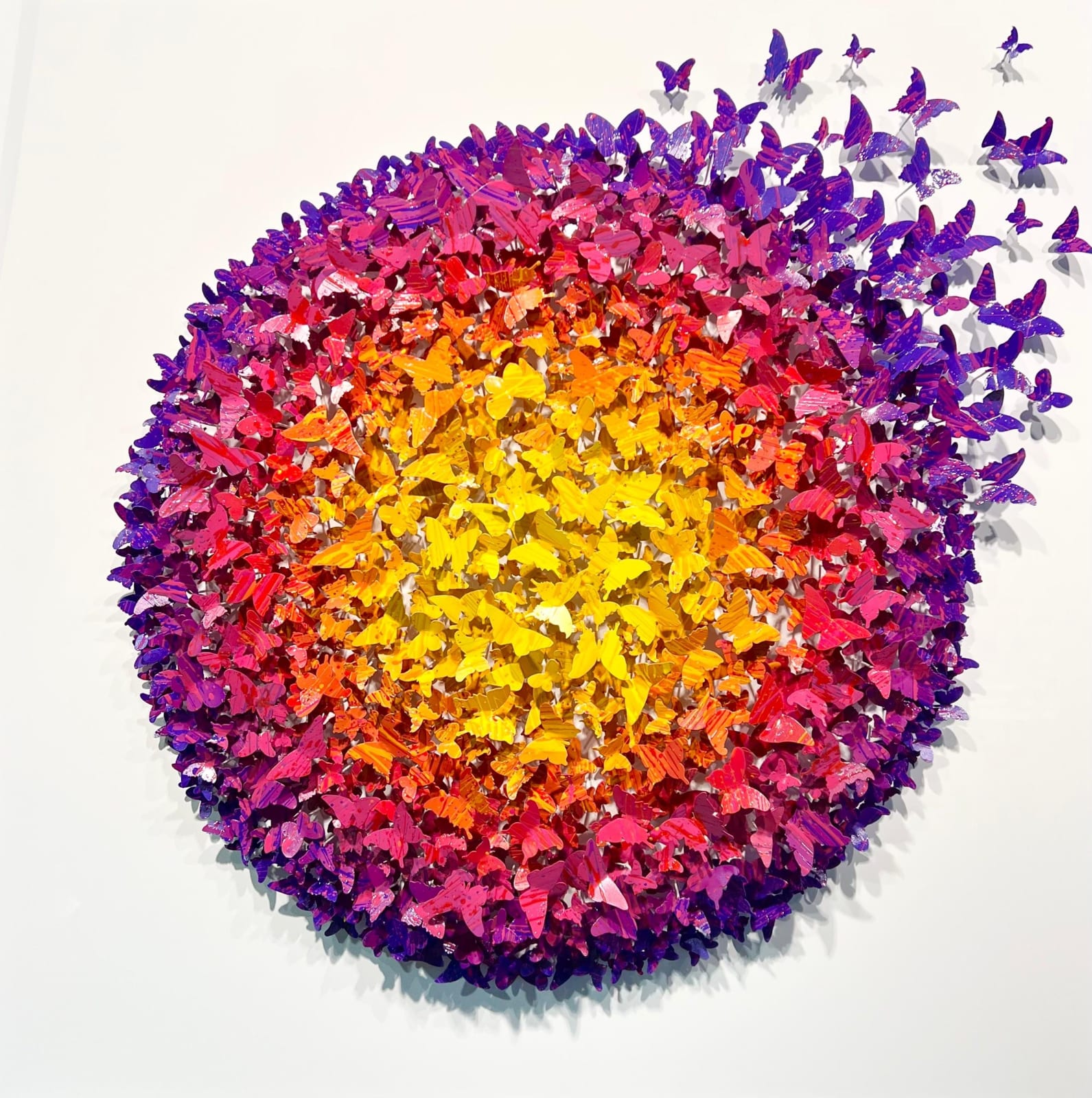 Joel Amit, Joel Amit - Circle purple