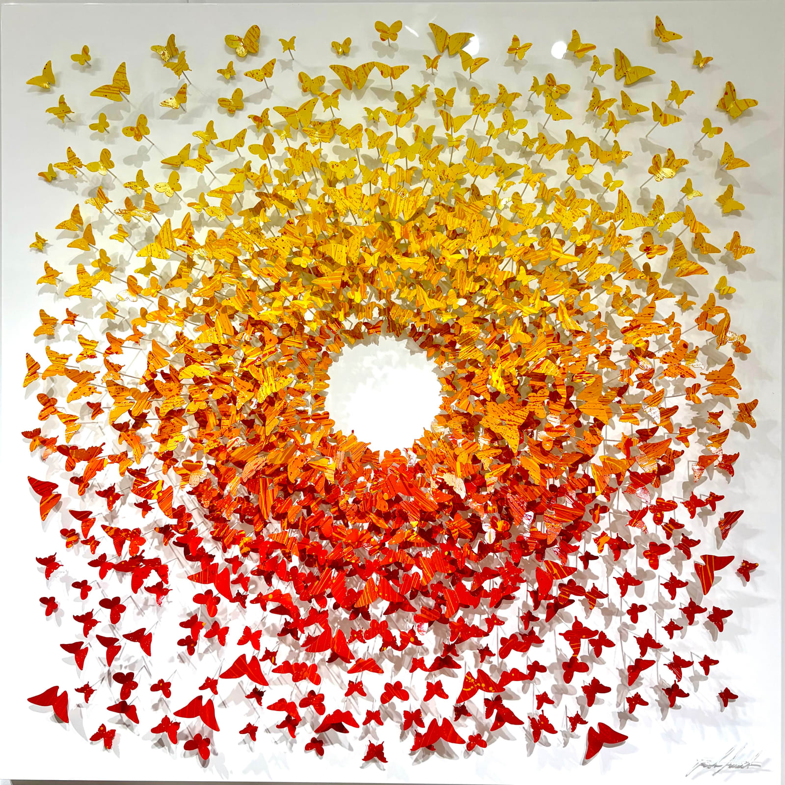 Joel Amit, Joel Amit - Sun Butterfly orange