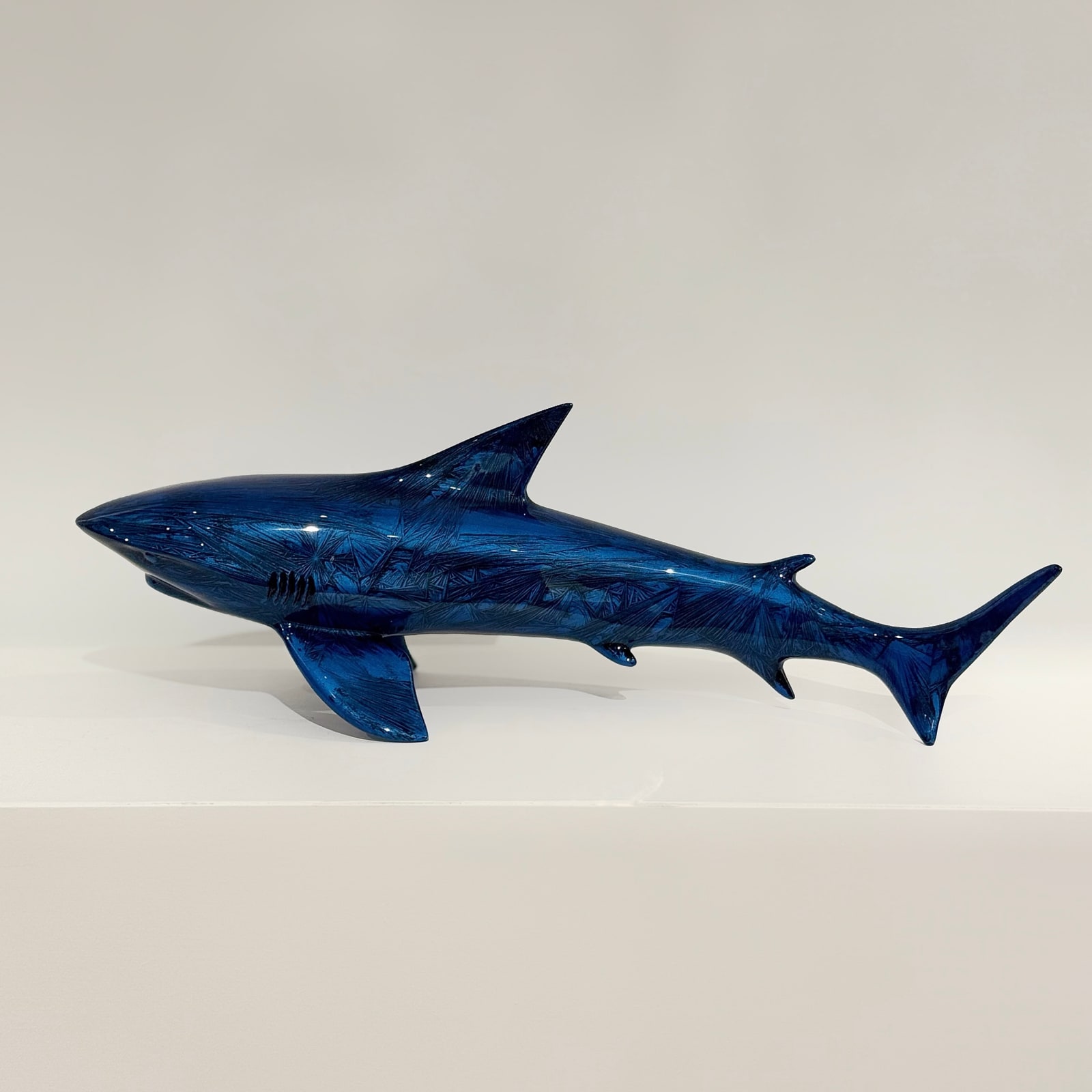 bertrand Boutin, Bertrand Boutin - Requin bleu