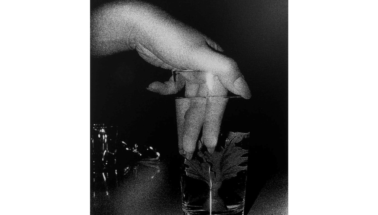 Daido Moriyama, Artificial Underwater Flower, 2012
