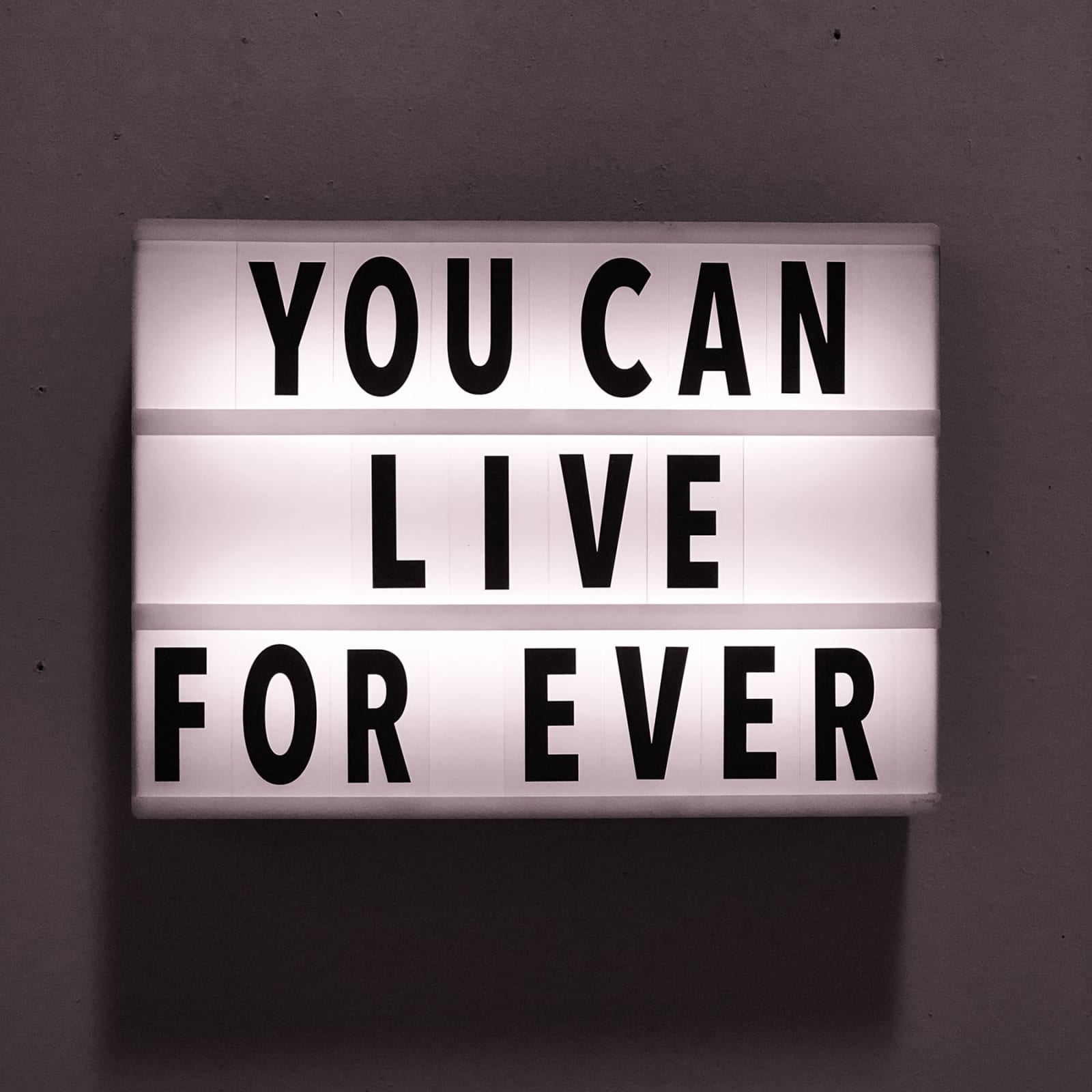 April Marten, You Can Live For Ever, 2018