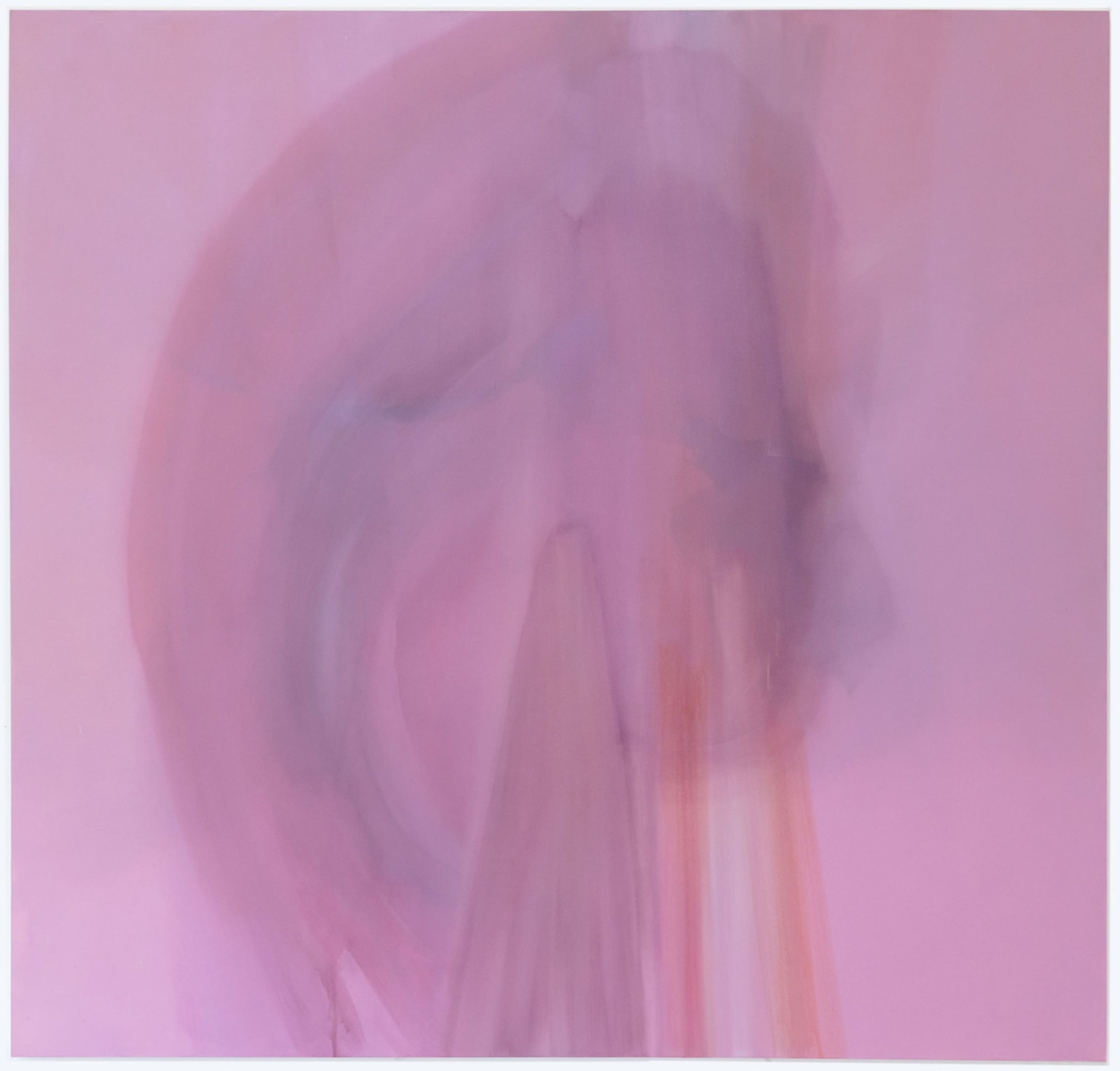 Mallory Page, Under the Rose (Rosa Gallica, ancestor to all), 2020