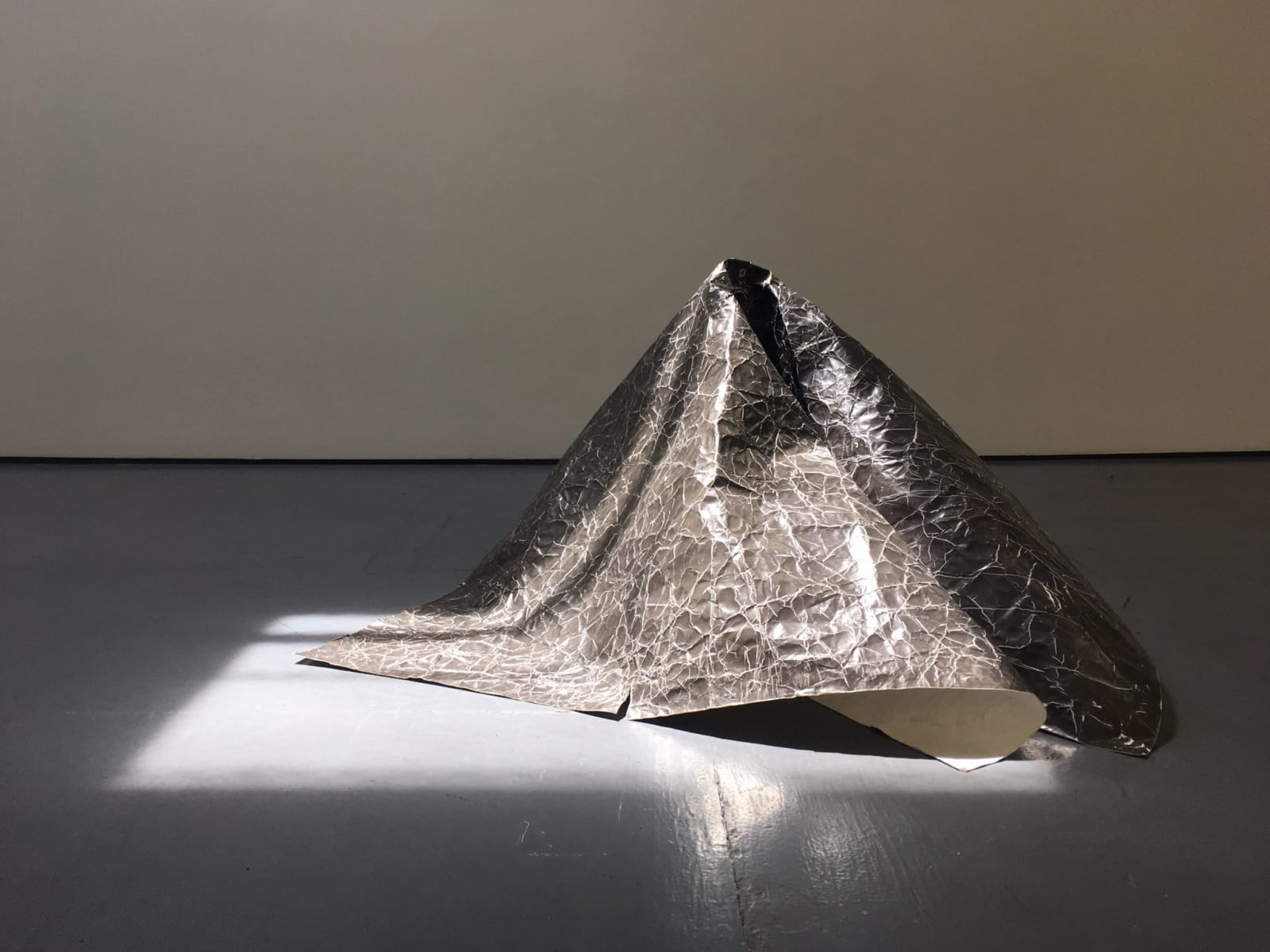 Joy Episalla, foldtogram (lg rc black 63 x 42), 2017/2018