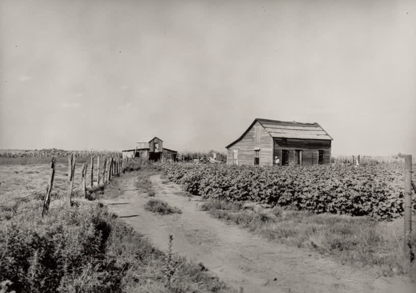 Dorothea Lange, Farm, 1936 (c.)
