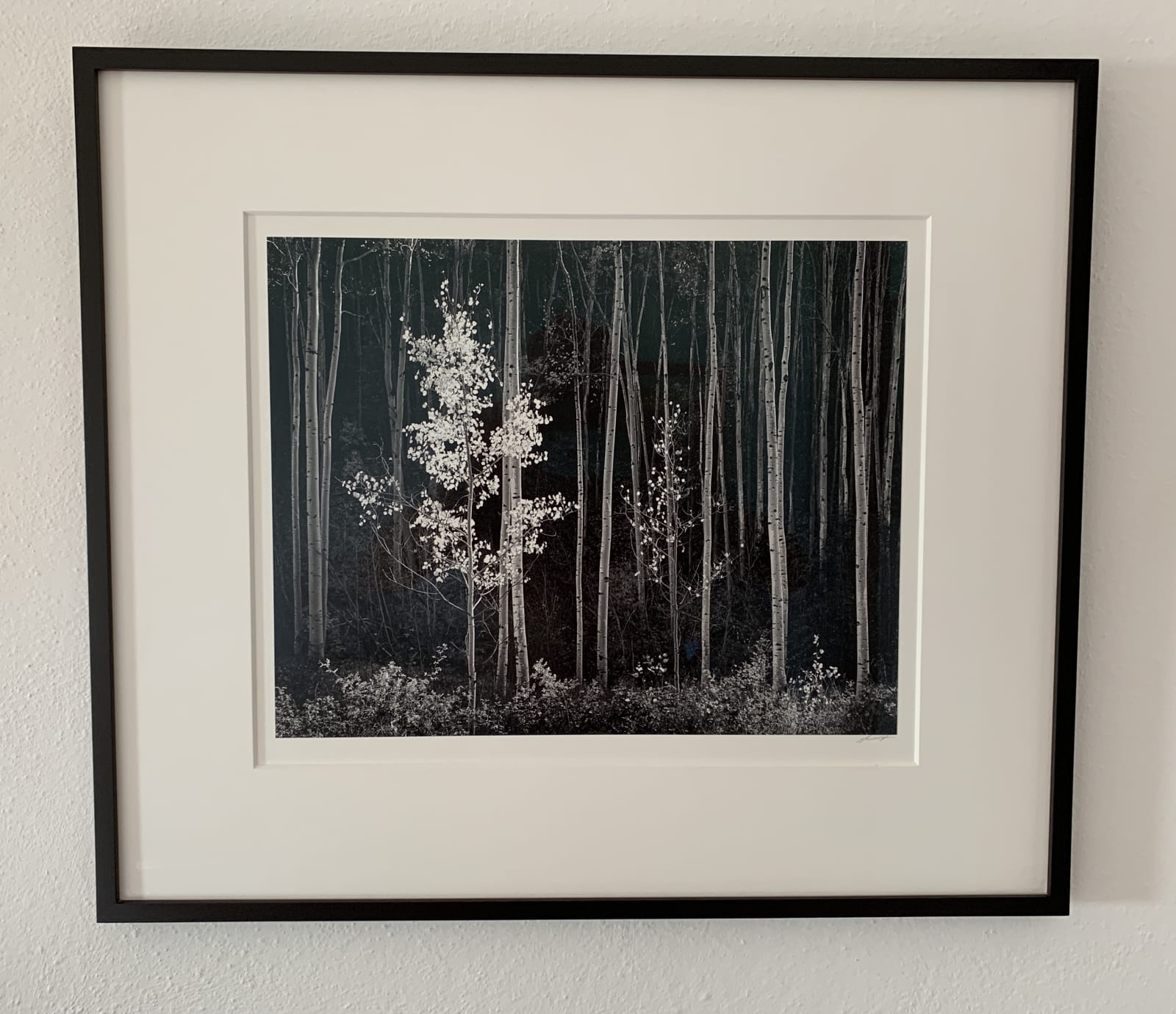 Ansel Adams, Aspens, Northern New Mexico, 1958