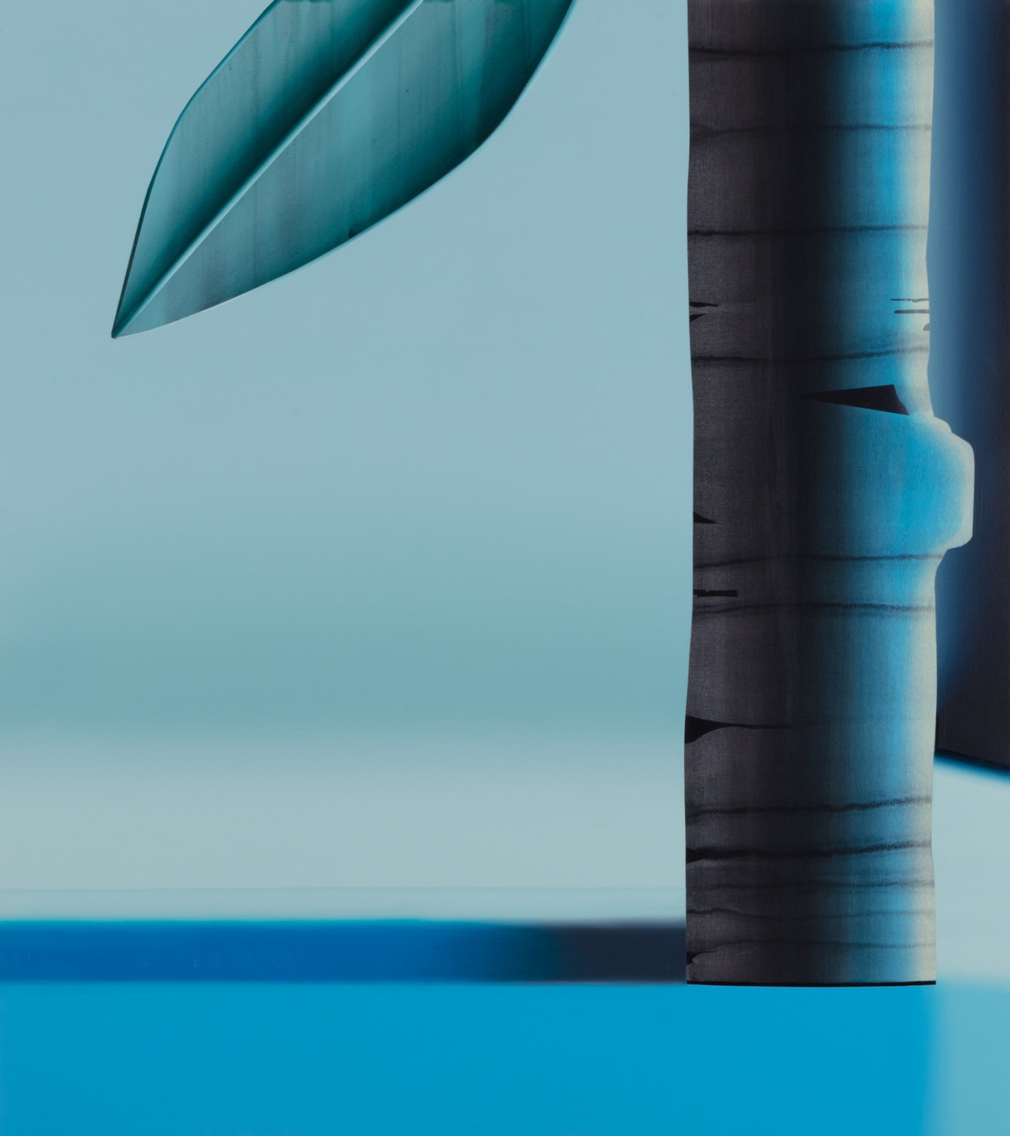 Anna Membrino, Turf, 2020