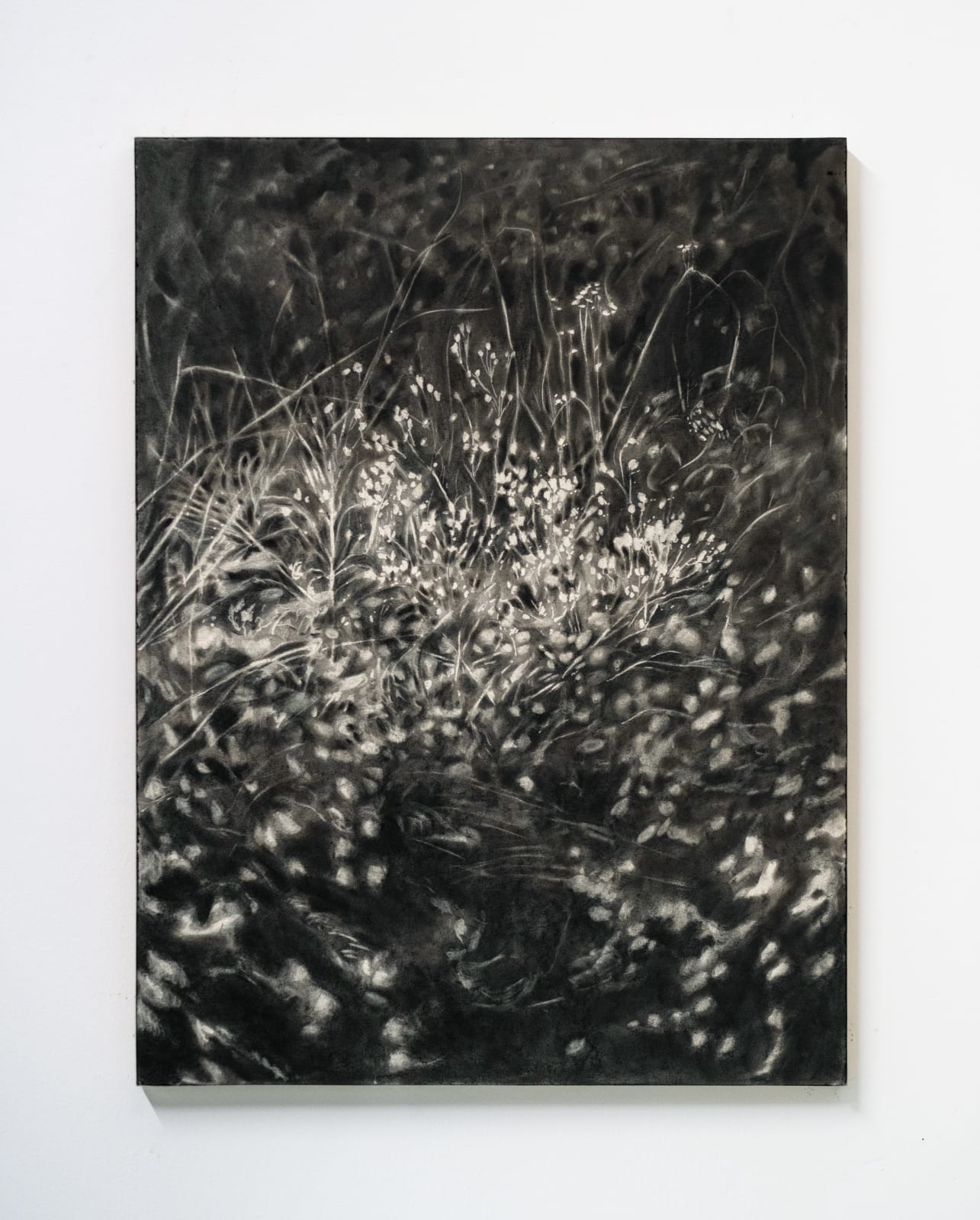 Allegra Toran, Wildflowers, 2025