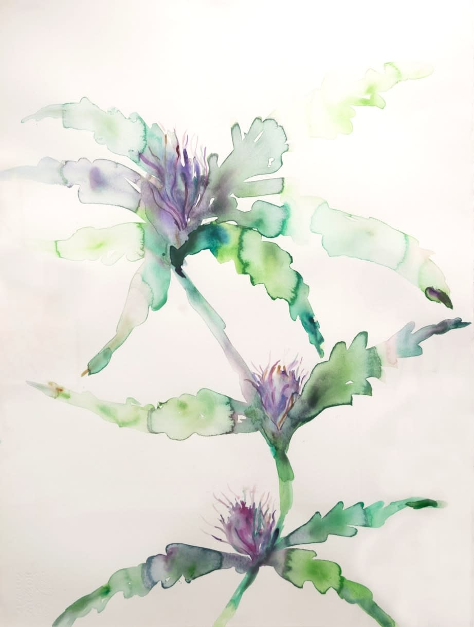 Kim McCarty, Green - Male, 2017
