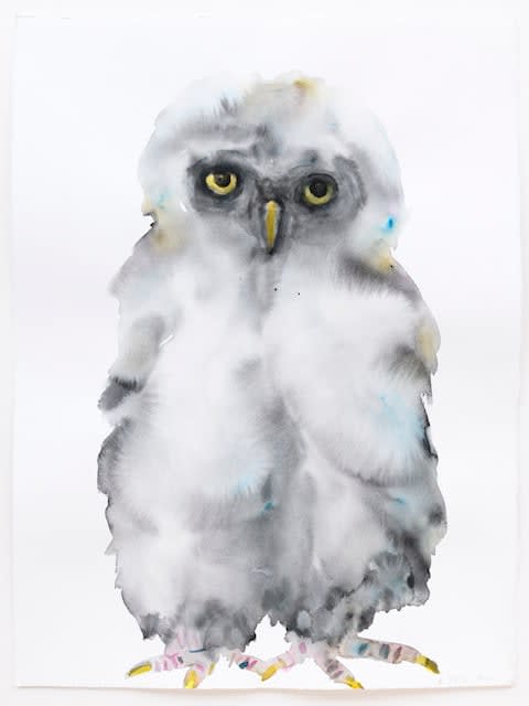 Kim McCarty, Untitled (Grey Owl), 2023
