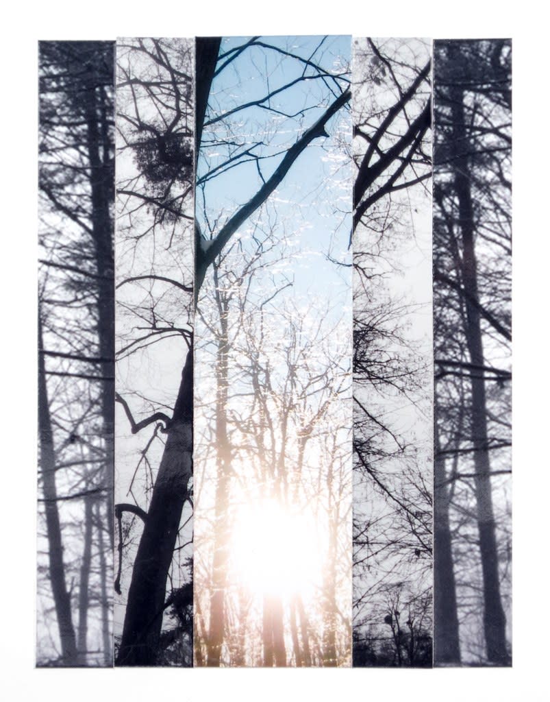 Katia Santibañez, Symphony IV, 2014