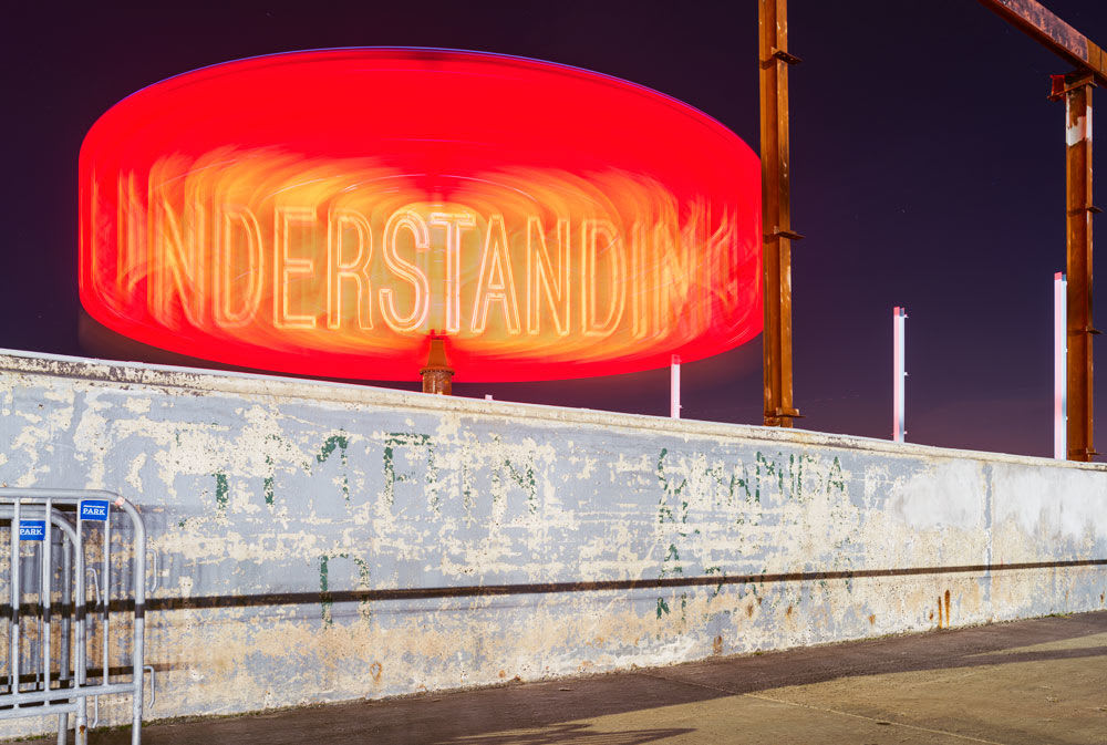David S. Allee, Understanding, 2016